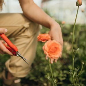 Meet your Posher, Carter & katie